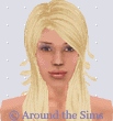 Around the Sims