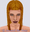 Around the Sims