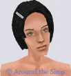 Around the Sims