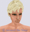 Around the Sims
