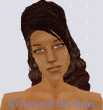 Around the Sims
