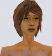 Around the Sims