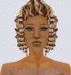 Around the Sims