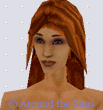 Around the Sims