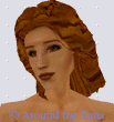 Around the Sims