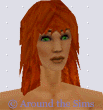 Around the Sims