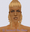 Around the Sims