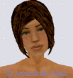 Around the Sims