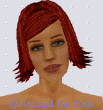 Around the Sims