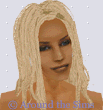 Around the Sims