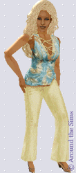 Around the Sims