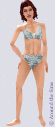 Around the Sims