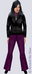Around the Sims