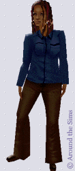 Around the Sims