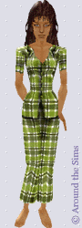 Around the Sims