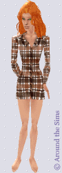 Around the Sims
