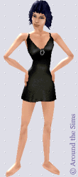 Around the Sims