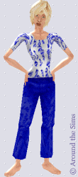 Around the Sims