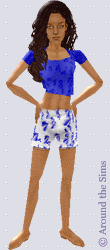 Around the Sims