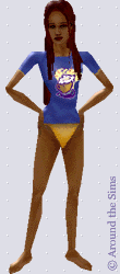Around the Sims