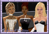Around the Sims