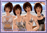 Around the Sims