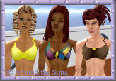 Around the Sims