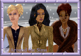 Around the Sims