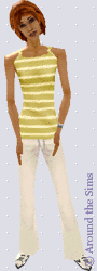 Around the Sims