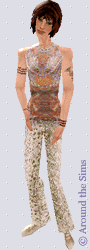 Around the Sims
