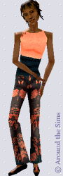 Around the Sims