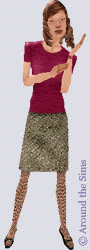 Around the Sims