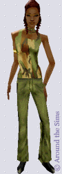 Around the Sims