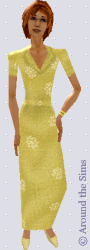 Around the Sims