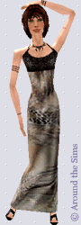 Around the Sims
