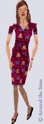 Around the Sims