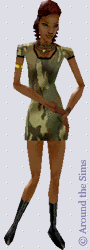 Around the Sims