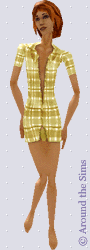 Around the Sims
