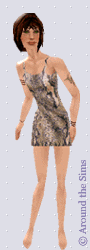 Around the Sims