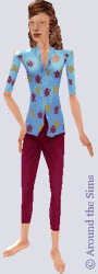 Around the Sims