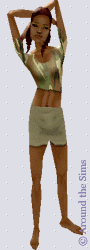 Around the Sims