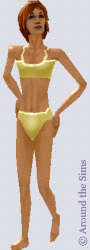 Around the Sims