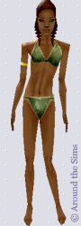 Around the Sims