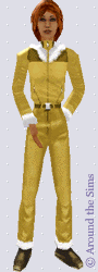 Around the Sims