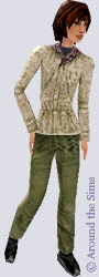 Around the Sims