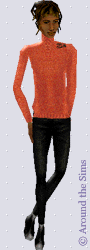 Around the Sims