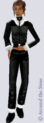 Around the Sims