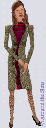 Around the Sims