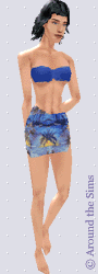 Around the Sims