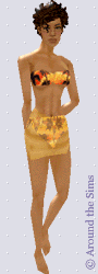 Around the Sims